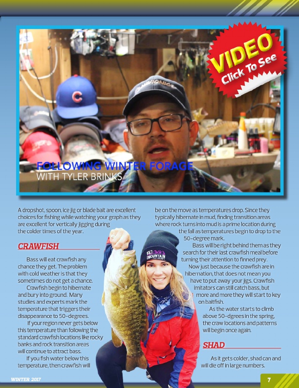 Baitfish Video Tips for Winter Bass by Tyler Brinks